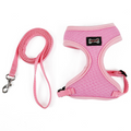 SecureFit cat harness and leash