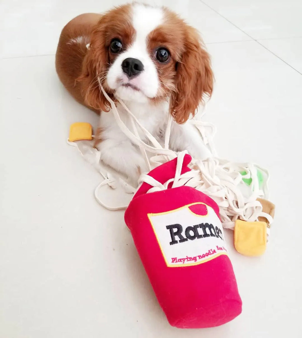 NoodleNose™ Snuffle Toy for Dogs | Paws & Gear NoodleNose Snuffle Toy