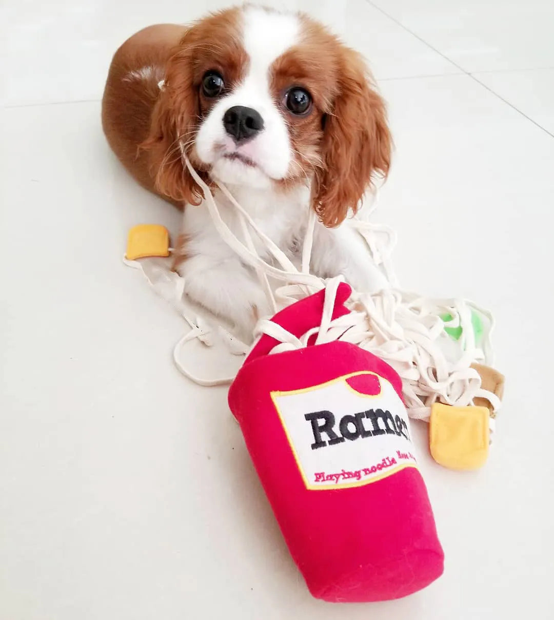 NoodleNose™ Snuffle Toy for Dogs | Paws & Gear NoodleNose Snuffle Toy