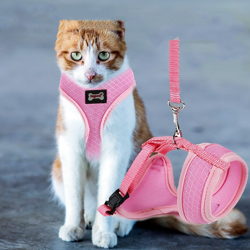 SecureFit cat harness and leash