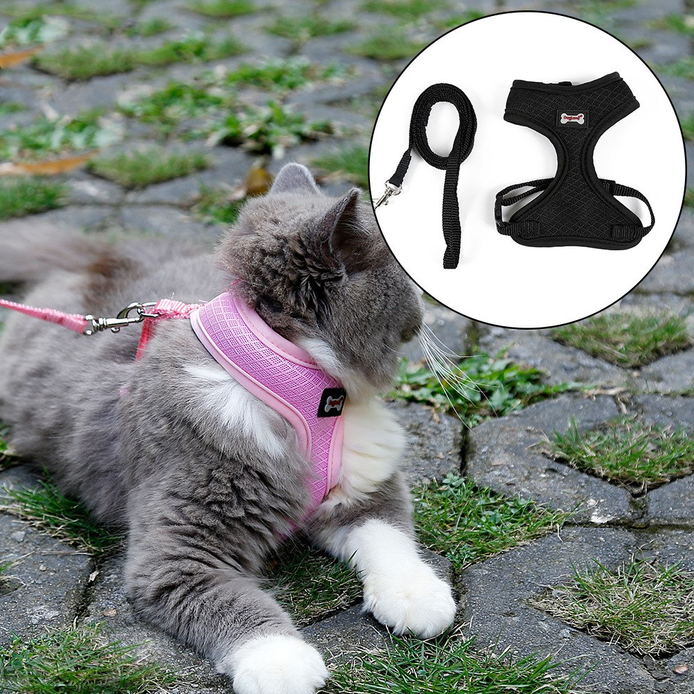 SecureFit cat harness and leash