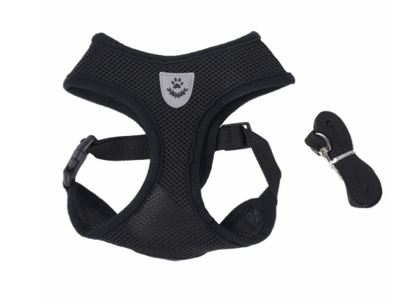 SecureFit cat harness and leash