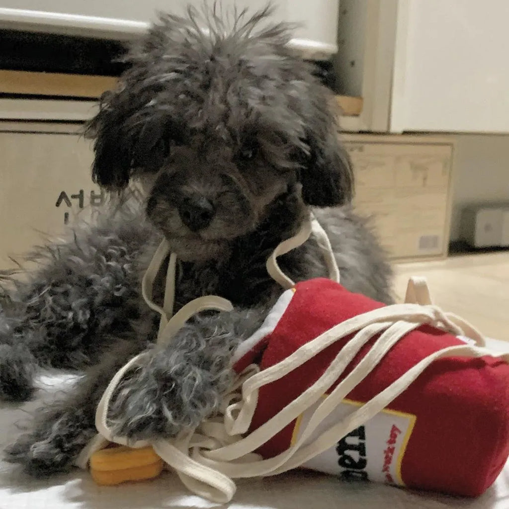 NoodleNose™ ramen-inspired pet toy