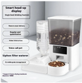 Smart dual-bowl video feeder with timed portions