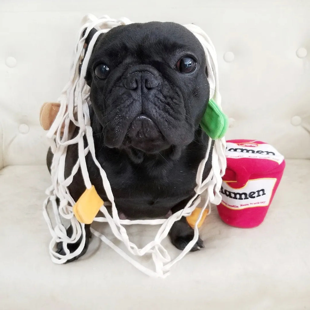 NoodleNose™ Snuffle Toy for Dogs | Paws & Gear NoodleNose Snuffle Toy