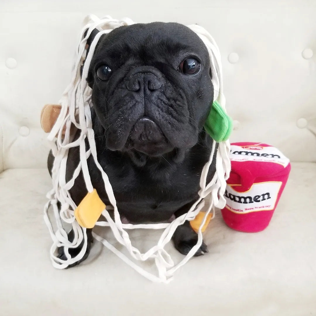NoodleNose™ Snuffle Toy for Dogs | Paws & Gear NoodleNose Snuffle Toy