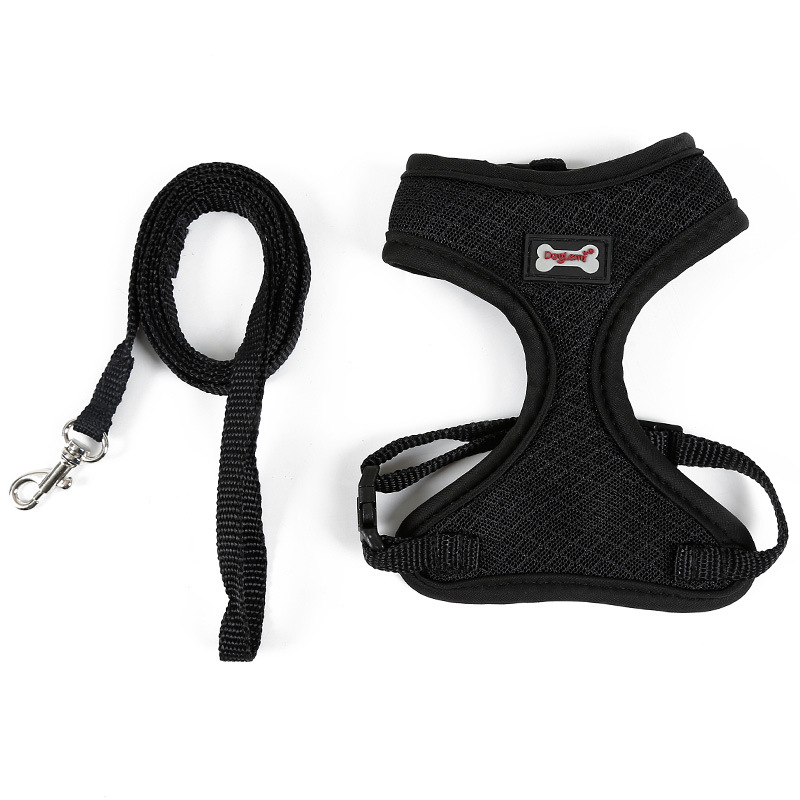SecureFit cat harness and leash