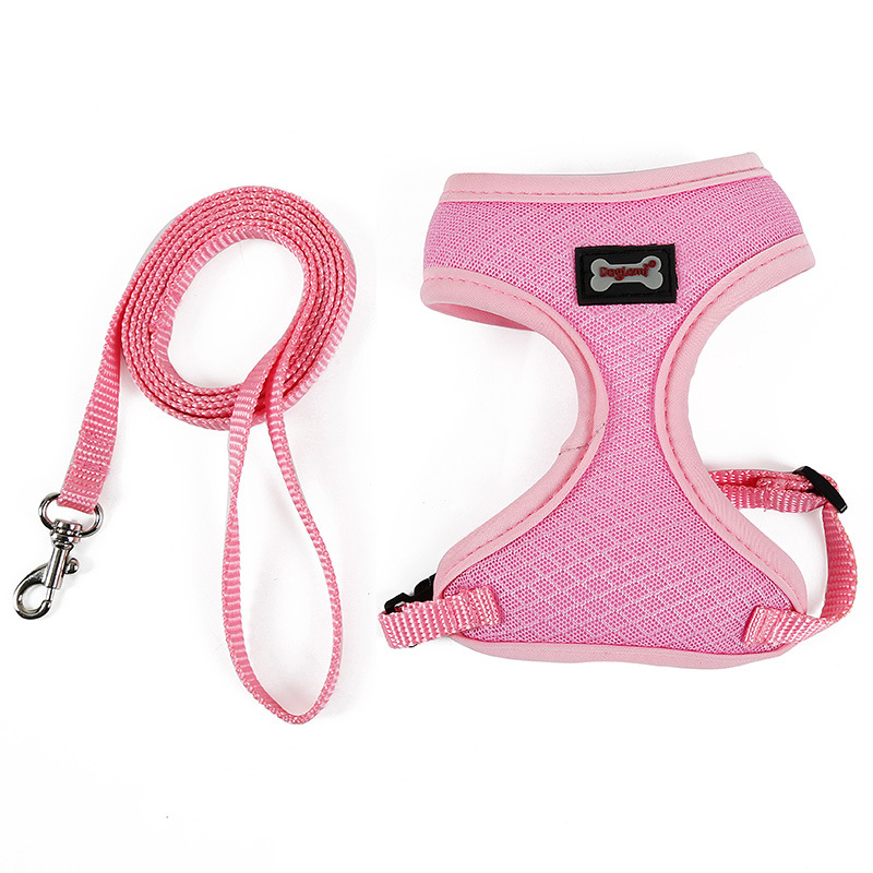SecureFit cat harness and leash