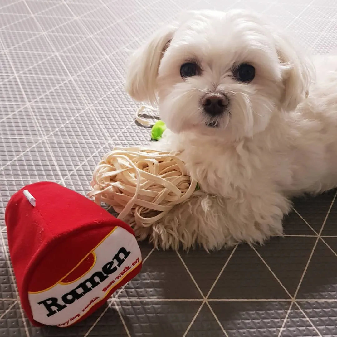 NoodleNose™ Snuffle Toy for Dogs | Paws & Gear NoodleNose Snuffle Toy